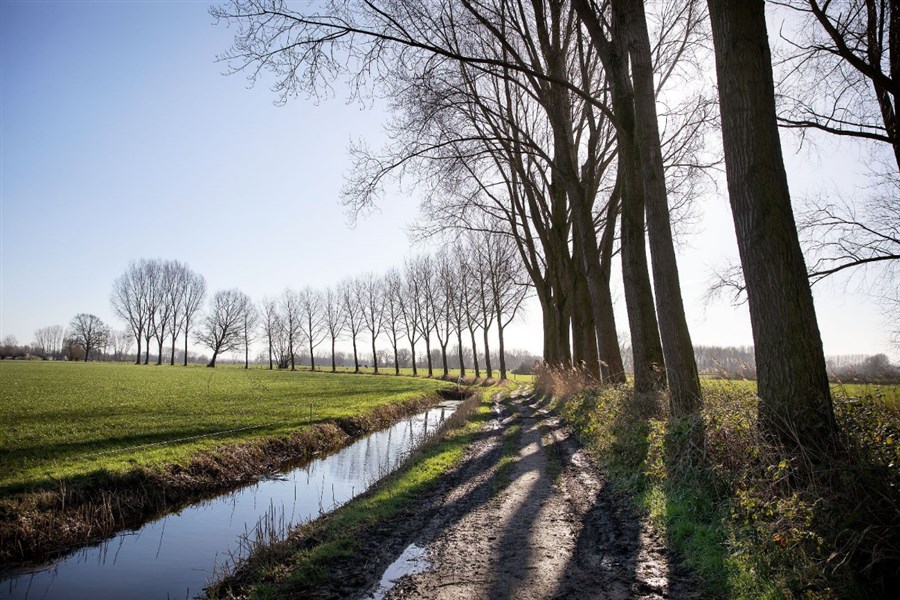Bericht Brabants Bodem zoekt toekomstboeren bekijken